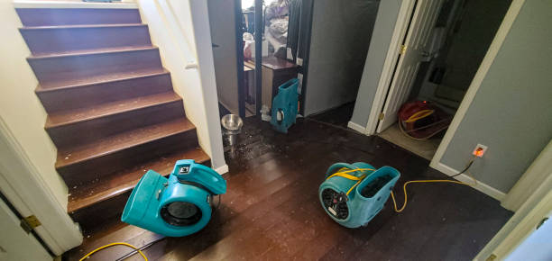 Best 24/7 water damage repair  in Folcroft, PA