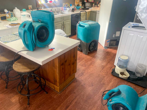 Best Basement water damage restoration  in Folcroft, PA