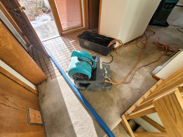 Best Sewage cleanup and water damage restoration  in Folcroft, PA