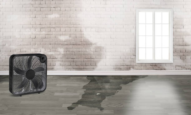 Best Fire Damage Restoration  in Folcroft, PA