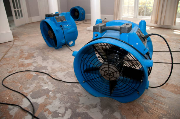 Best Professional water damage repair  in Folcroft, PA