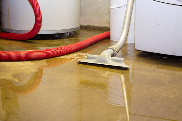 Best Water damage mitigation services  in Folcroft, PA