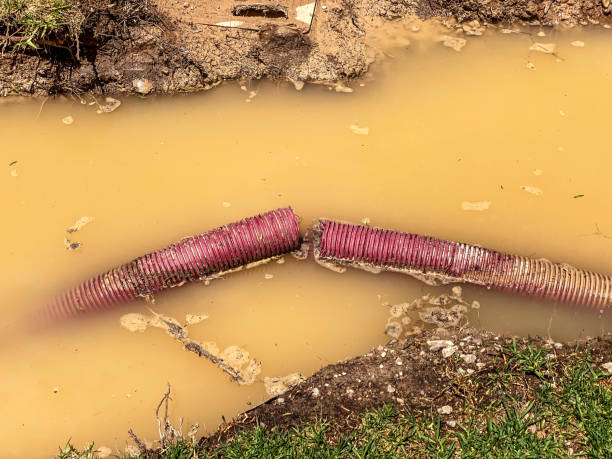 Best Local water damage restoration  in Folcroft, PA
