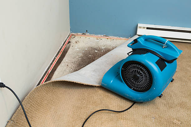 Best Carpet water damage restoration  in Folcroft, PA